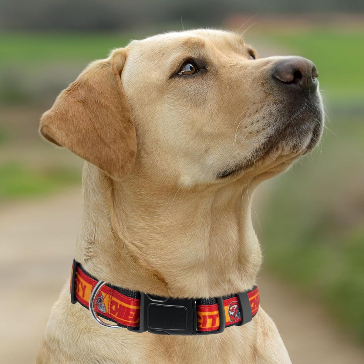 Kansas City Chiefs Dog Satin Collar or Leash