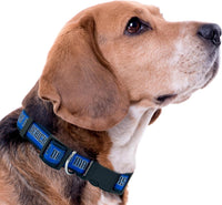 Dallas Mavericks Dog Satin Collar or Leash