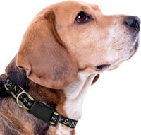 New Orleans Saints Dog Satin Collar or Leash