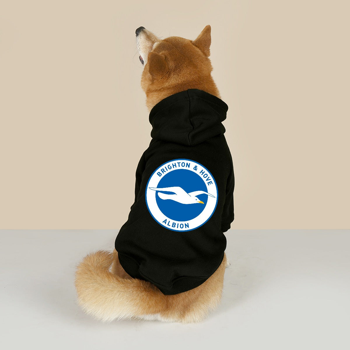 Brighton & Hove Albion FC 25/26 Team-Inspired Cotton-Blend Pet Hoodie