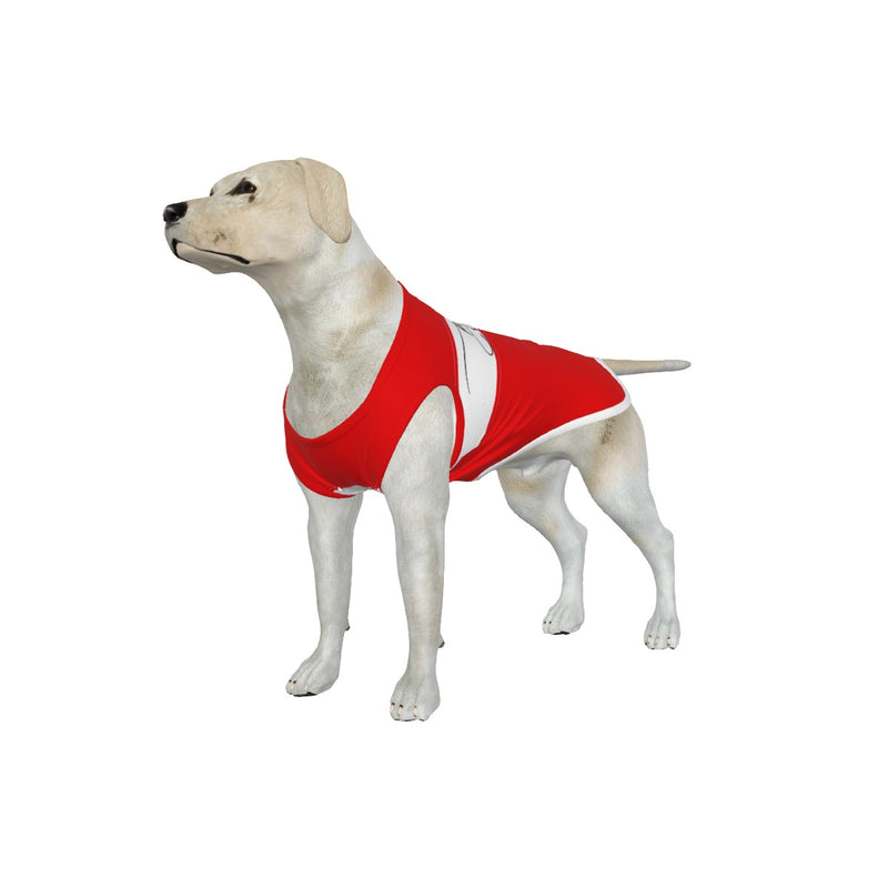 Brentford FC 25/26 Home Inspired Pet Graphic Tee Shirt (Sizes XS-Small)