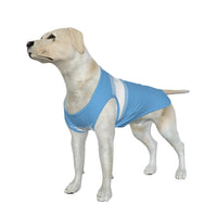 Manchester City FC 25/26 Home Inspired Pet Graphic Tee Shirt (Sizes XS-Small)