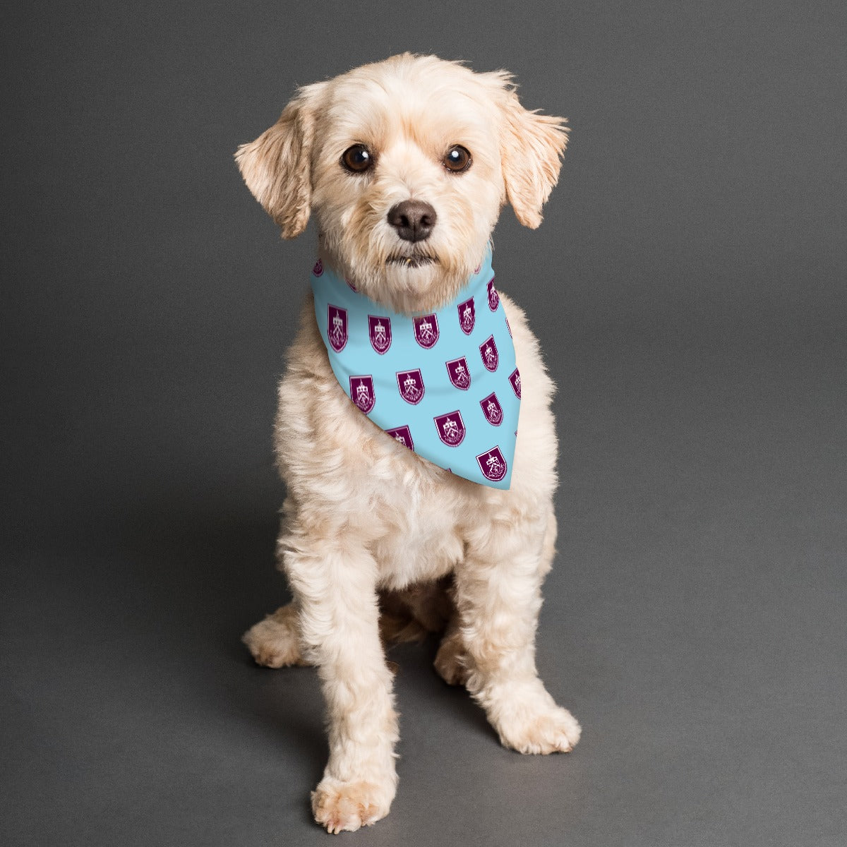 Burnley FC 25/26 Home Kit Inspired Reversible Bandana