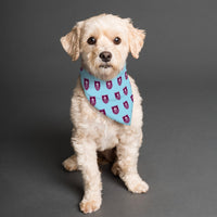 Burnley FC 25/26 Home Kit Inspired Reversible Bandana