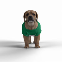 Celtic FC 25/26 Home Inspired Pet Graphic Tee Shirt (Sizes XS-Small)