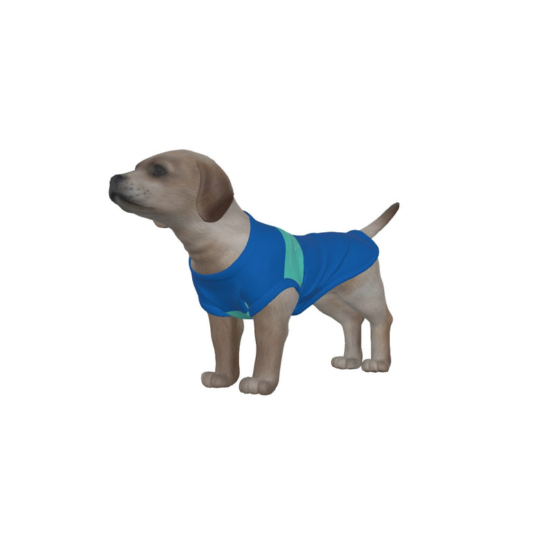 Brighton & Hove Albion FC 25/26 Home Inspired Pet Graphic Tee Shirt (Sizes XS-Small)