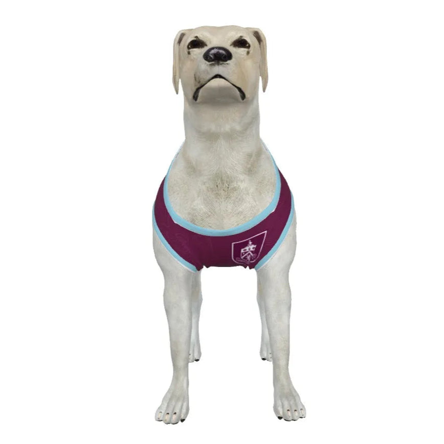Burnley FC 25/26 Home Kit Inspired Personalized Tank