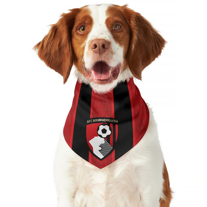 AFC Bournemouth 25/26 Home Kit Inspired Reversible Bandana
