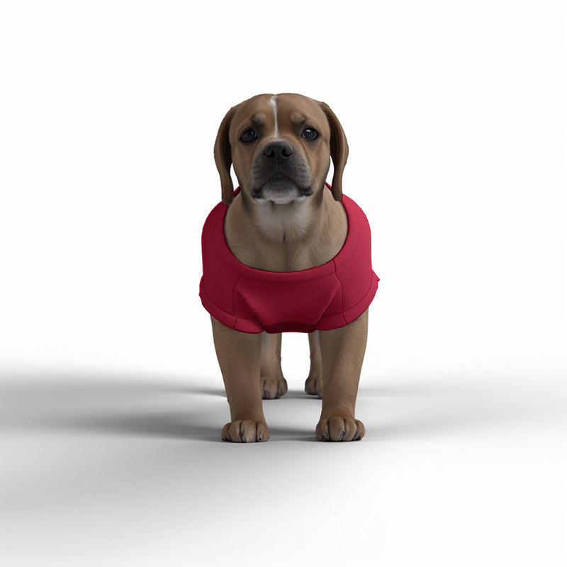 Liverpool FC 25/26 Home Inspired Pet Graphic Tee Shirt (Sizes XS-Small)
