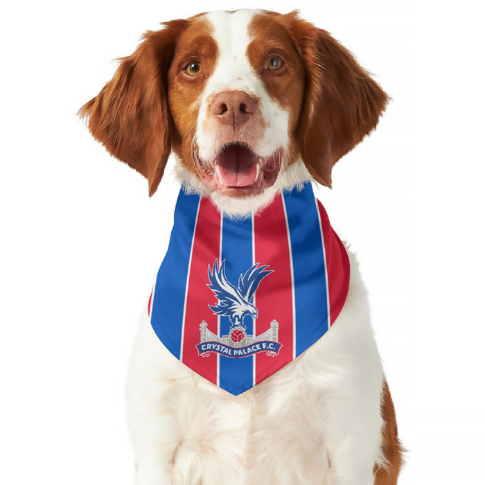 Crystal Palace FC 25/26 Home Kit Inspired Reversible Bandana