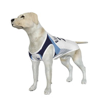 Tottenham Hotspur FC 25/26 Home Kit Inspired Personalized Tank