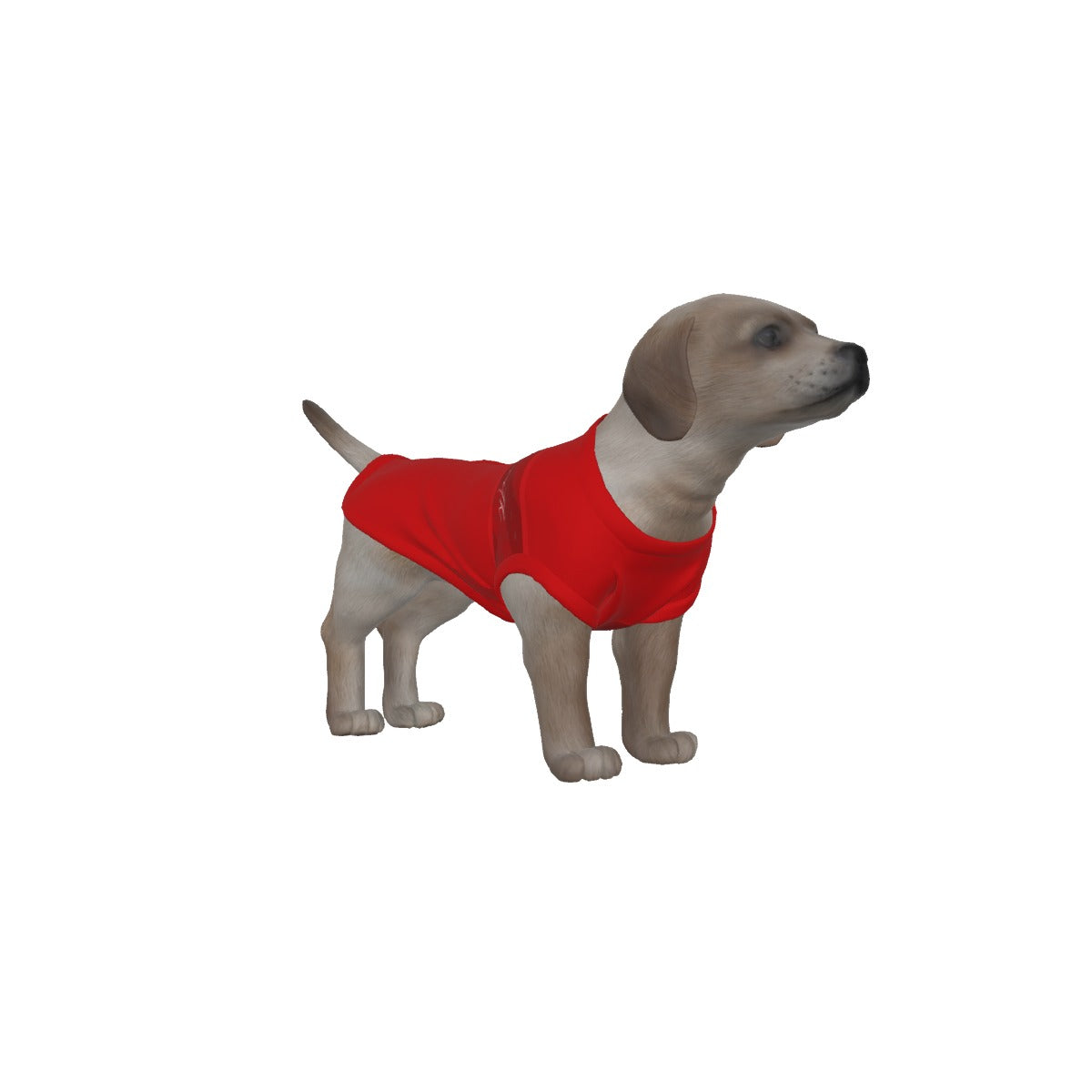 AFC Bournemouth 25/26 Home Inspired Pet Graphic Tee Shirt (Sizes XS-Small)