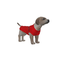 AFC Bournemouth 25/26 Home Inspired Pet Graphic Tee Shirt (Sizes XS-Small)