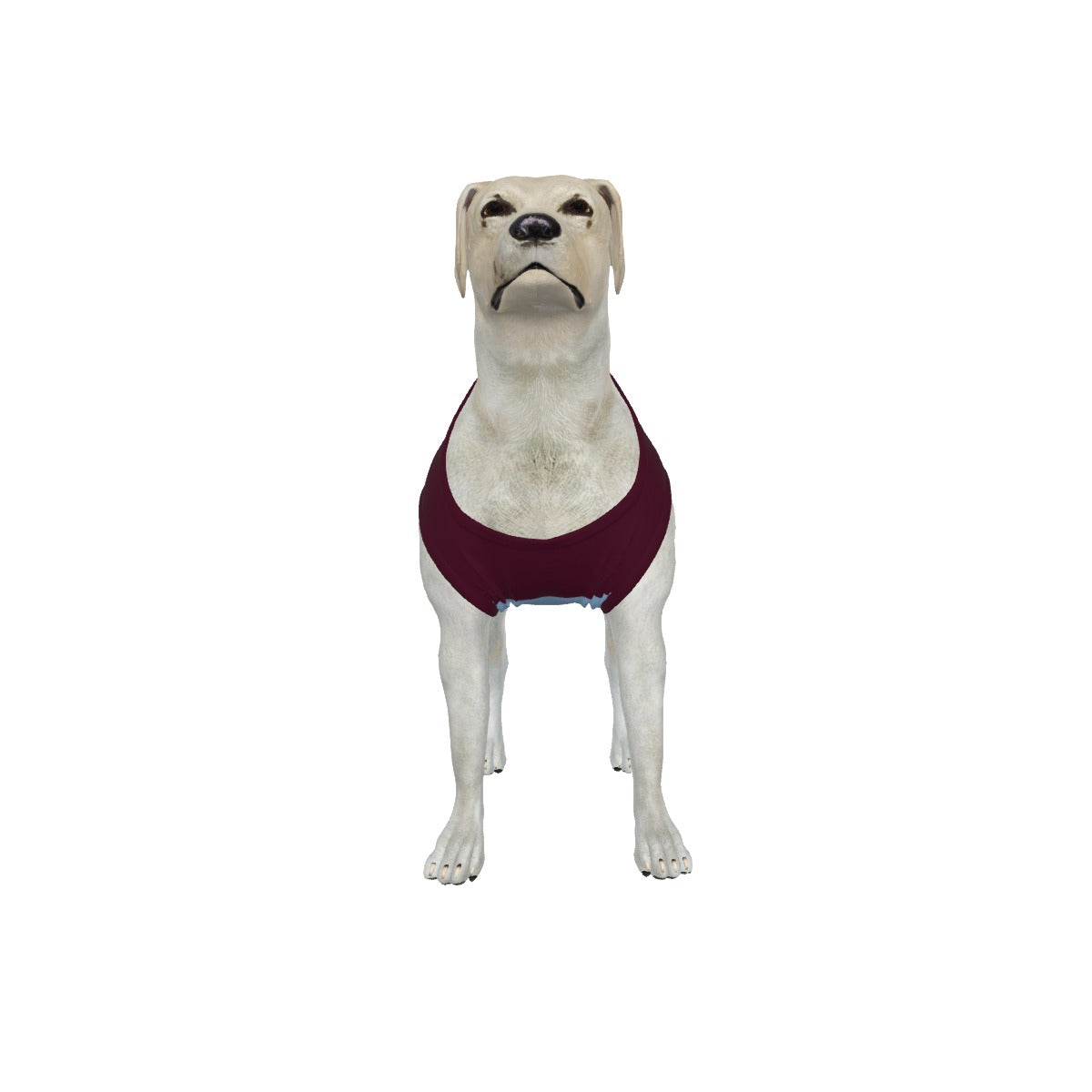 Aston Villa FC 25/26 Home Inspired Graphic Pet Tee Shirt (Size M-2x)