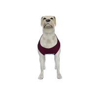 Aston Villa FC 25/26 Home Inspired Graphic Pet Tee Shirt (Size M-2x)
