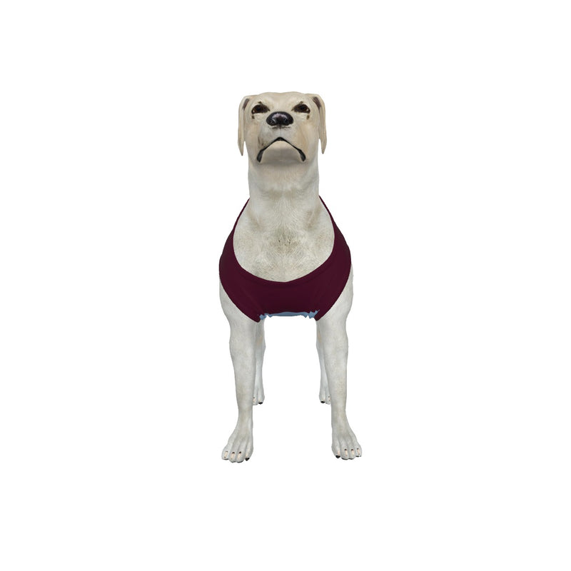 Aston Villa FC 25/26 Home Inspired Graphic Pet Tee Shirt (Size M-2x)