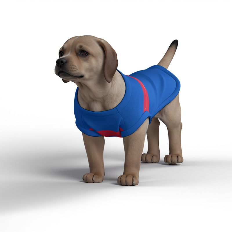 Crystal Palace FC 25/26 Home Inspired Pet Graphic Tee Shirt (Sizes XS-Small)