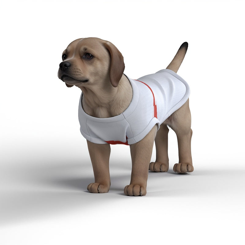 Sunderland AFC 25/26 Home Inspired Pet Graphic Tee Shirt (Sizes XS-Small)