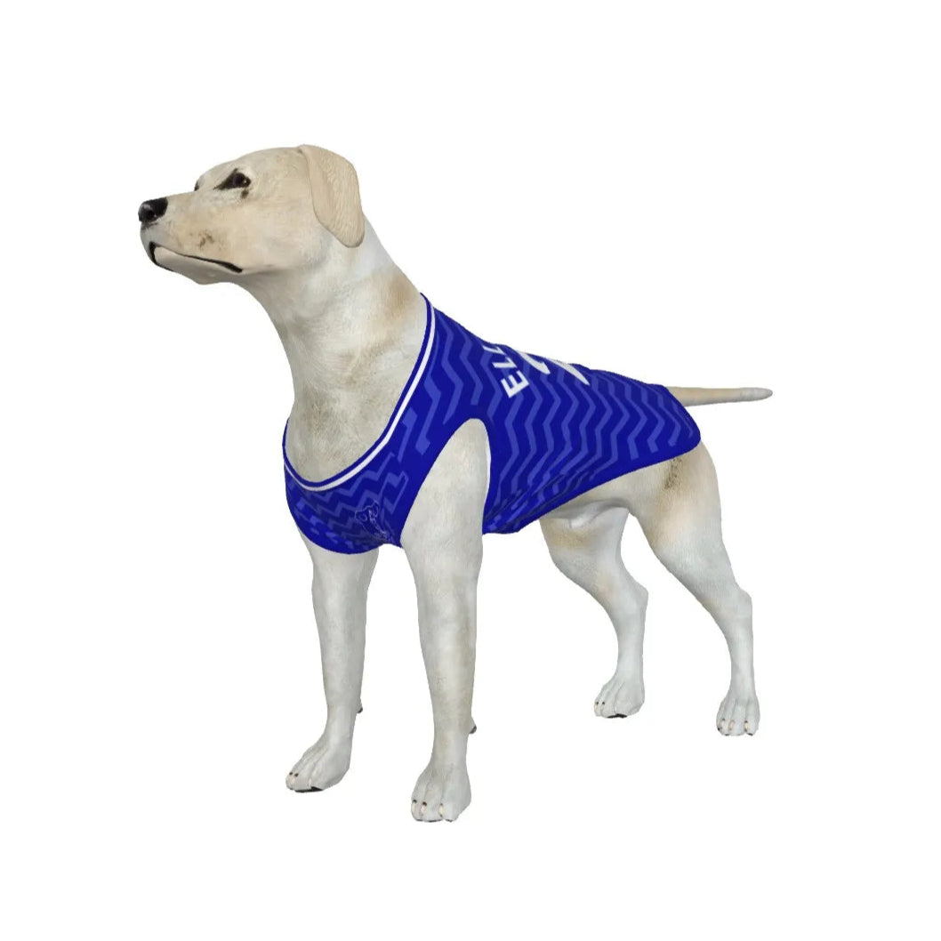 Everton FC 25/26 Home Kit Inspired Personalized Tank