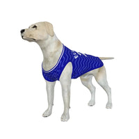 Everton FC 25/26 Home Kit Inspired Personalized Tank
