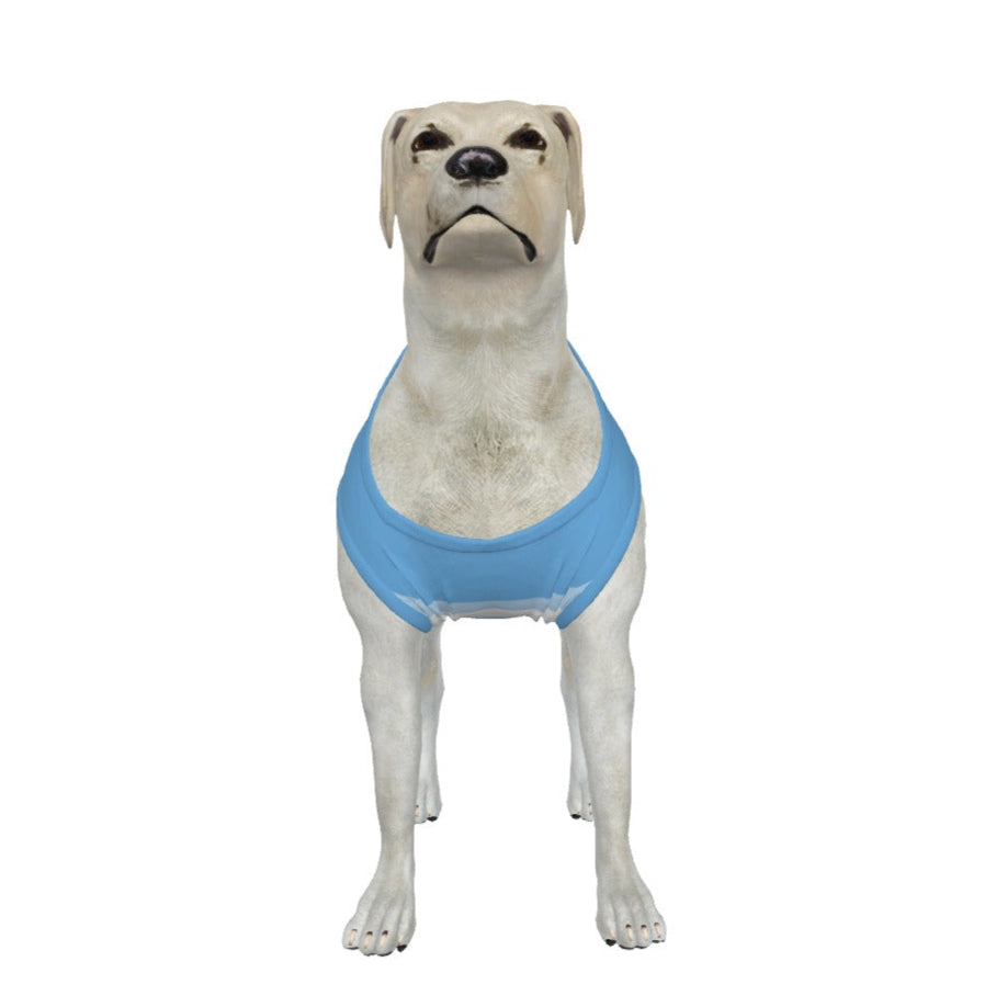 Manchester City FC 25/26 Home Inspired Graphic Pet Tee Shirt (Size M-2x)