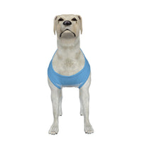 Manchester City FC 25/26 Home Inspired Graphic Pet Tee Shirt (Size M-2x)