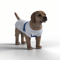 Leeds United FC 25/26 Home Inspired Pet Graphic Tee Shirt (Sizes XS-Small)