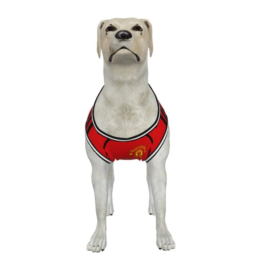 Manchester United FC 25/26 Home Kit Inspired Personalized Tank