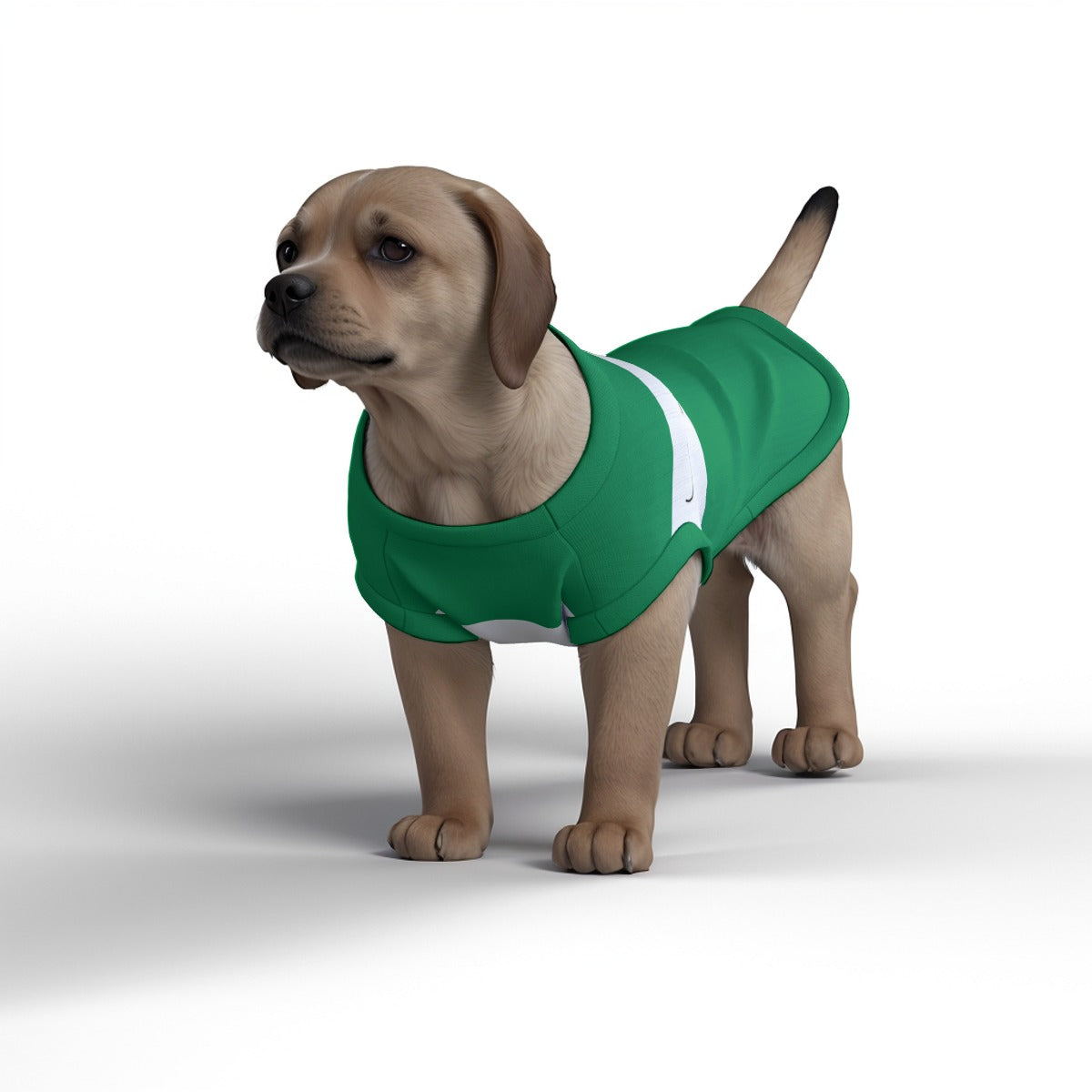 Celtic FC 25/26 Home Inspired Pet Graphic Tee Shirt (Sizes XS-Small)