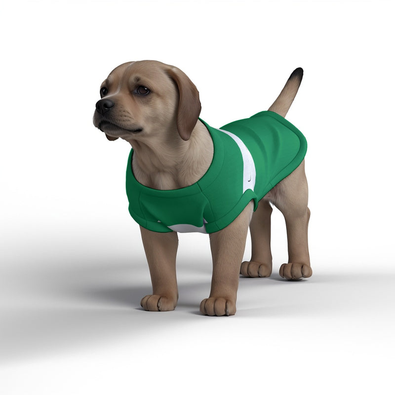 Celtic FC 25/26 Home Inspired Pet Graphic Tee Shirt (Sizes XS-Small)