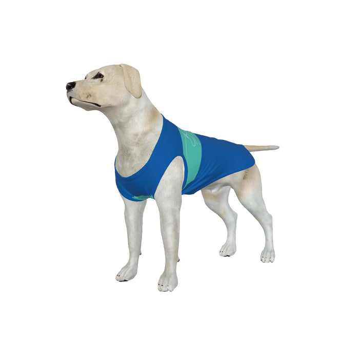 Brighton & Hove Albion FC 25/26 Home Inspired Pet Graphic Tee Shirt (Sizes Medium-2XLarge)