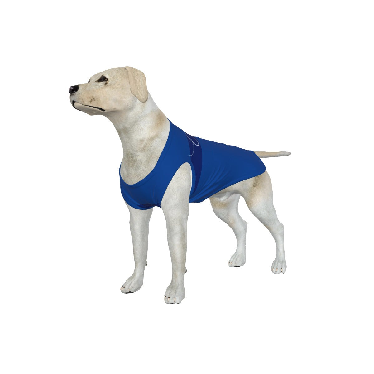 Chelsea FC 25/26 Home Inspired Graphic Pet Tee Shirt (Size M-2x)