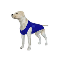 Everton FC 25/26 Home Inspired Graphic Pet Tee Shirt (Size M-2x)