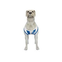 Brighton & Hove Albion FC 25/26 Home Kit-Inspired Personalized Tank