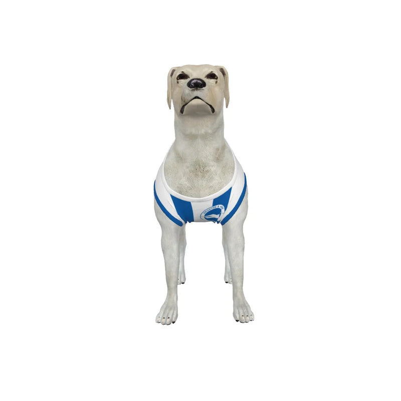 Brighton & Hove Albion FC 25/26 Home Kit-Inspired Personalized Tank