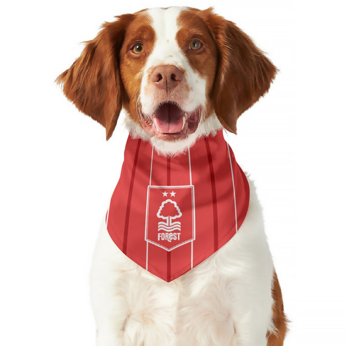 Nottingham Forest FC 25/26 Home Kit Inspired Reversible Bandana