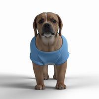 Manchester City FC 25/26 Home Inspired Pet Graphic Tee Shirt (Sizes XS-Small)