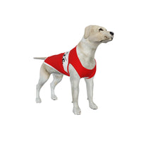 Brentford FC 25/26 Home Inspired Pet Graphic Tee Shirt (Sizes XS-Small)
