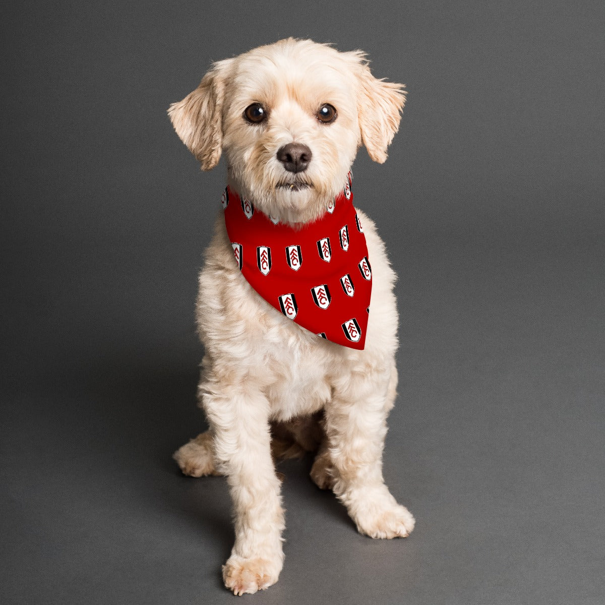 Fulham FC 25/26 Home Kit Inspired Reversible Bandana