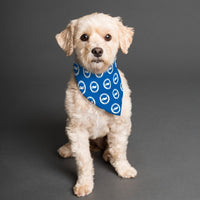 Brighton & Hove Albion FC 25/26 Home Kit Inspired Reversible Bandana