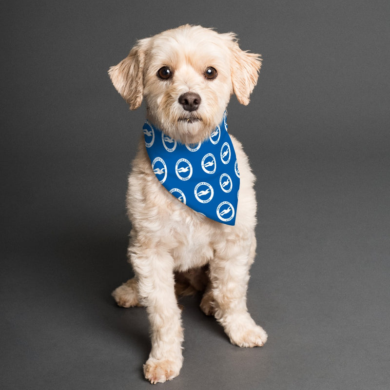 Brighton & Hove Albion FC 25/26 Home Kit Inspired Reversible Bandana