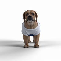 Leeds United FC 25/26 Home Inspired Pet Graphic Tee Shirt (Sizes XS-Small)