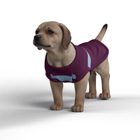 Aston Villa FC 25/26 Home Inspired Graphic Pet Tee Shirt (Size M-2x)