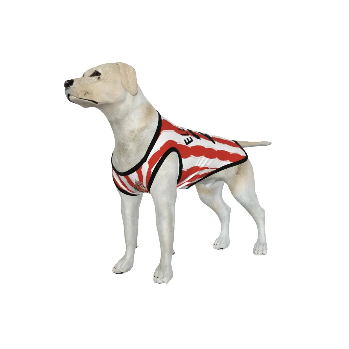 Sunderland AFC 25/26 Home Kit Inspired Personalized Tank