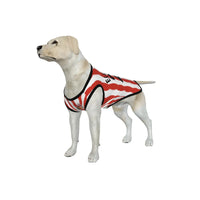 Sunderland AFC 25/26 Home Kit Inspired Personalized Tank