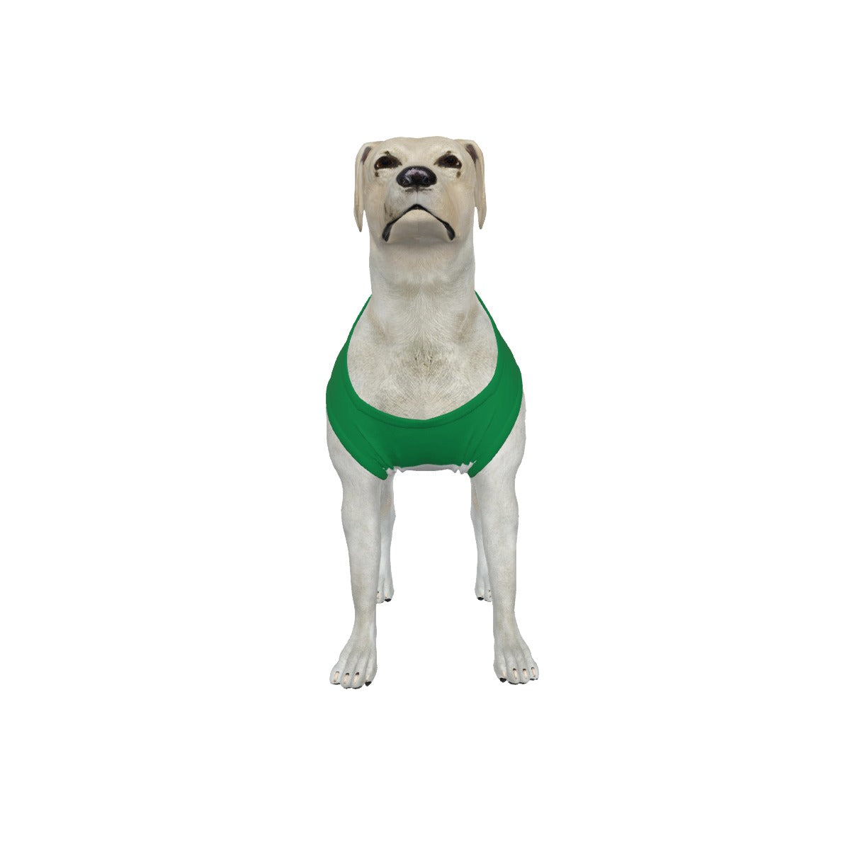 Celtic FC 25/26 Home Inspired Graphic Pet Tee Shirt (Size M-2x)