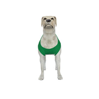 Celtic FC 25/26 Home Inspired Graphic Pet Tee Shirt (Size M-2x)