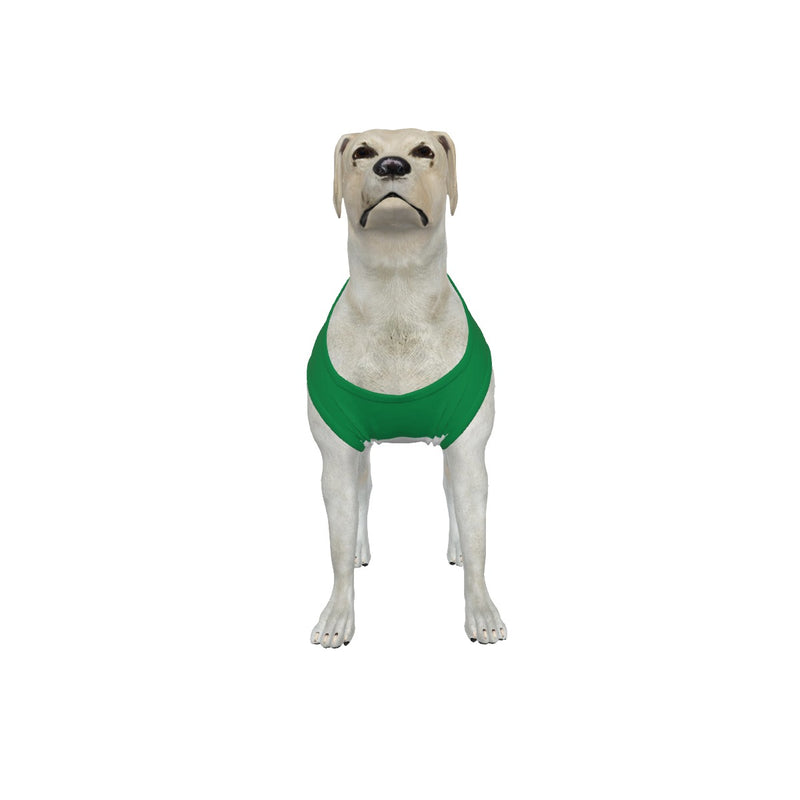 Celtic FC 25/26 Home Inspired Graphic Pet Tee Shirt (Size M-2x)