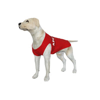AFC Bournemouth 25/26 Home Inspired Graphic Pet Tee Shirt (Size M-2x)