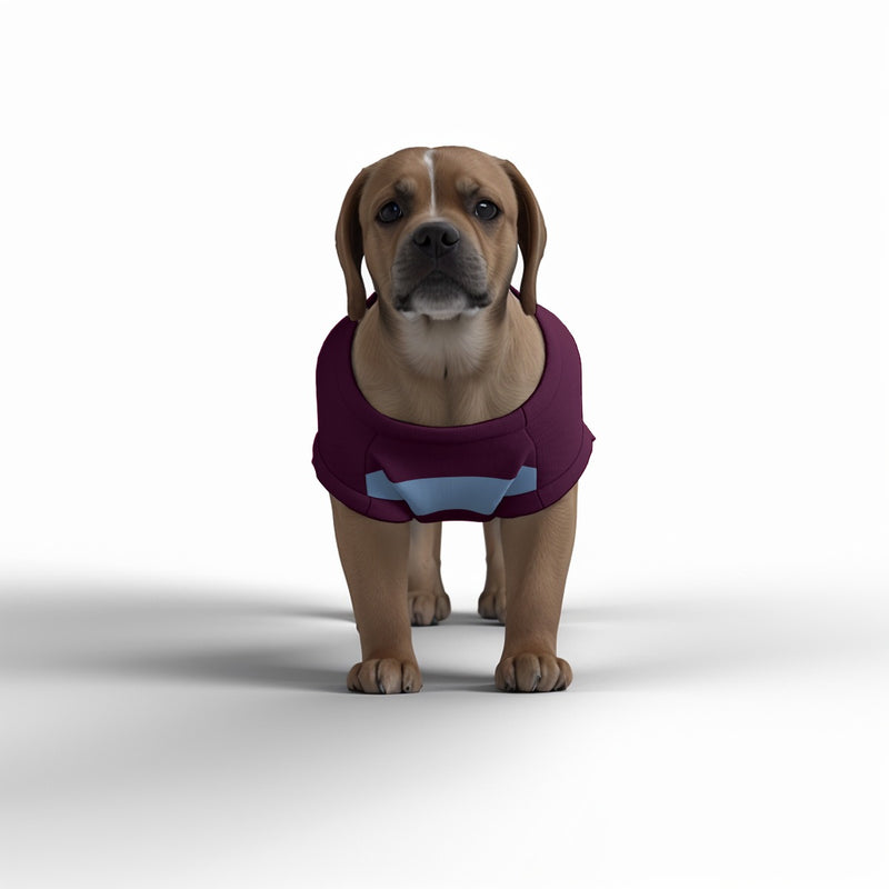 Aston Villa FC 25/26 Home Inspired Graphic Pet Tee Shirt (Size M-2x)